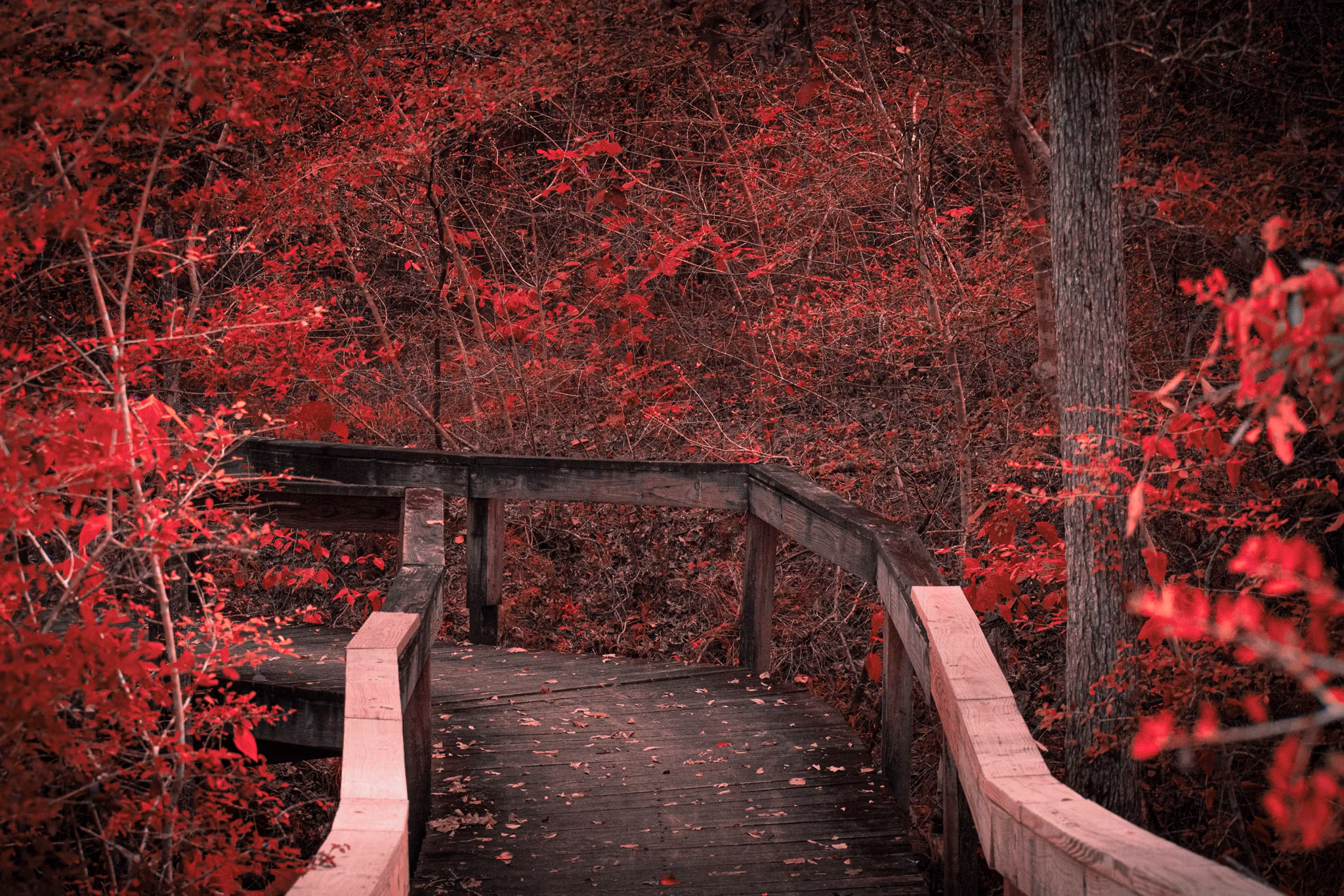 Park in Porter/New Caney, Texas